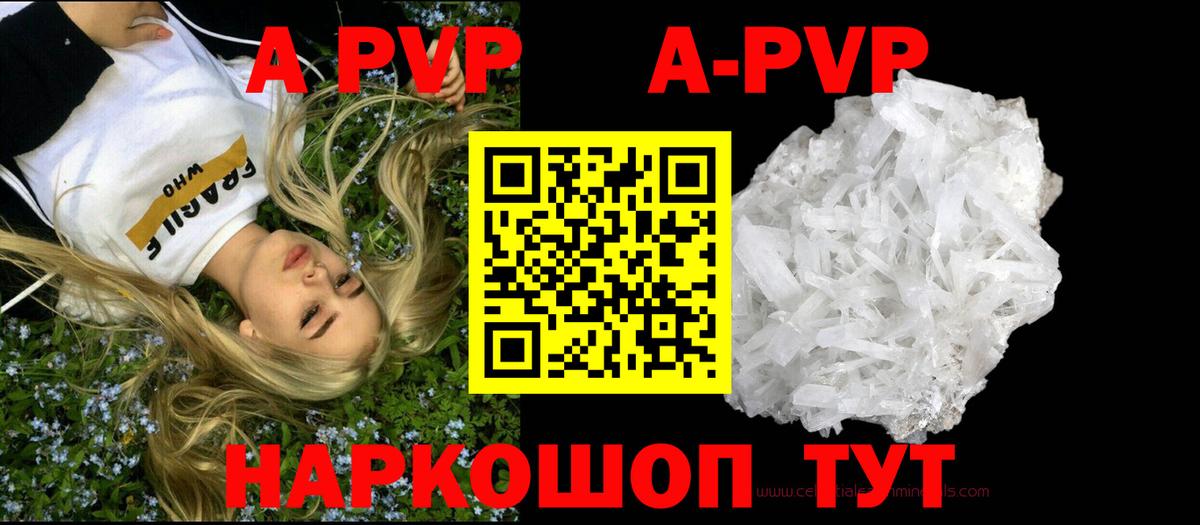 Alfa_PVP СК КРИС Боровичи