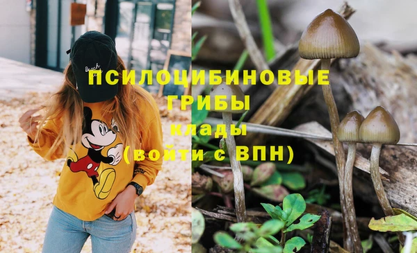 мет Белокуриха