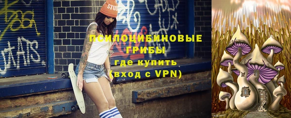 мет Белокуриха