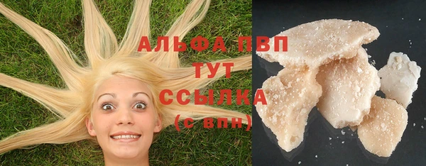 ПСИЛОЦИБИНОВЫЕ ГРИБЫ Беломорск