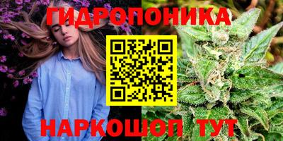 PSILOCYBIN Владимир
