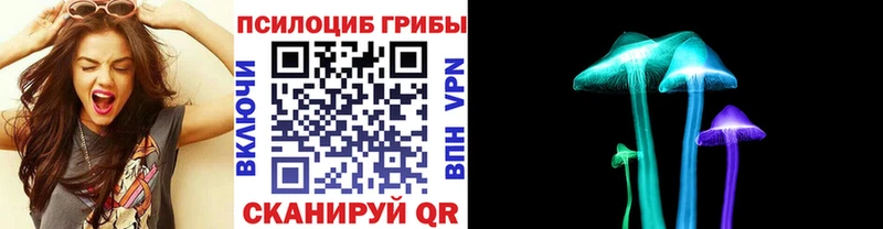 Псилоцибиновые грибы прущие грибы  дарнет шоп  Боровичи 
