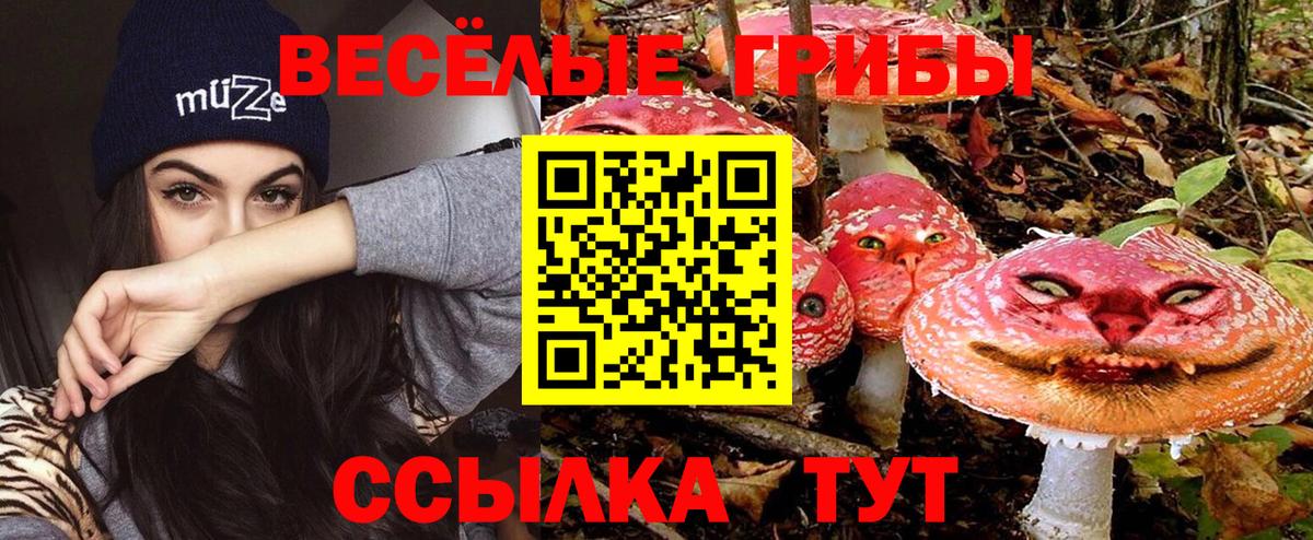 Галлюциногенные грибы GOLDEN TEACHER  Вход с VPN  Боровичи 