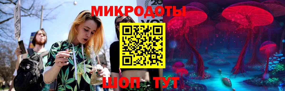 Псилоцибиновые грибы Psilocybe Боровичи